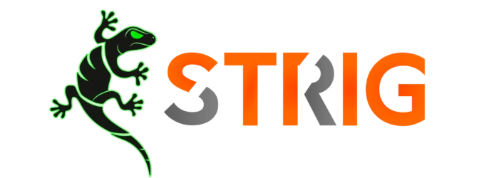 Logo Strig Tech