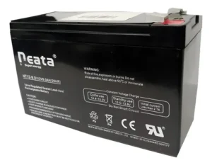 BATERIA AGM 12V-9AH NEATA