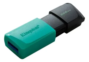 PENDRIVE KINGSTON 256GB 3.2 DTX/256GB